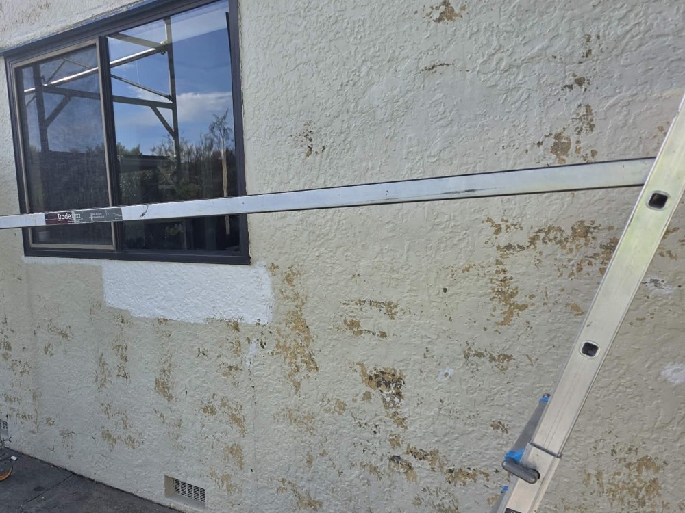 Stained, patchy render on a house wall with a window and a ladder